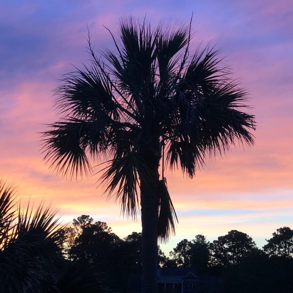 Meet your Posher, Jeanne